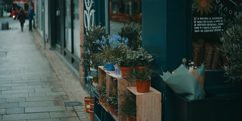 A display of potted flowers arranged on a wooden stand outside a shop along a sidewalk, featuring various plants with green foliage and small blue flowers in terracotta, blue, and beige pots. The setu